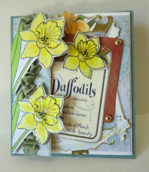 Daffodils