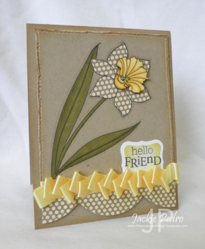 Hello Friend Daffodil