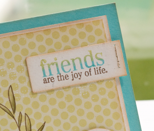 Friends are Joy sentiment