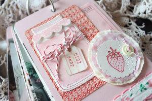 Jar Mini Album- Front Cover Closeup