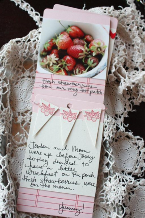 Jar Mini Album- Strawberry Banner Pages