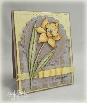 Thank You Daffodil
