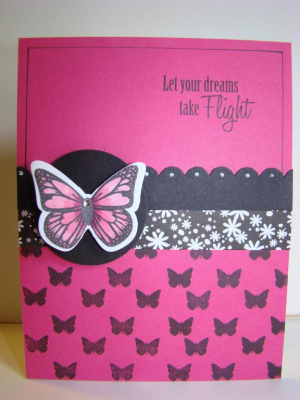 Raspberry Fizz With Butterfly Dreams