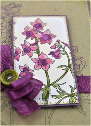 Spotlighted Larkspurs detail