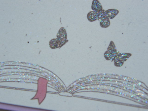 2010_0726bookswithwings0005