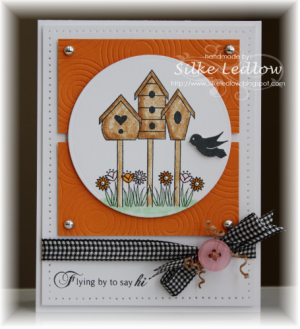 CC30 Flying By card 21May10