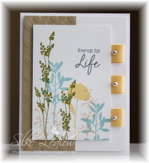 MMSC53 Friends for Life card 13May10