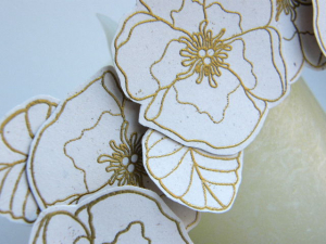 2010_0828bearcreek0052