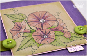 Enjoy Morning Glories detail