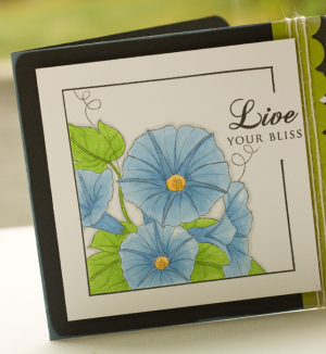 Lisa Johnson- Year of Flowers: Morning Glories