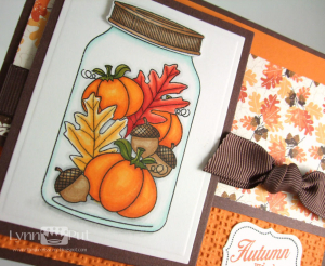 Close Up - Autumn Wishes