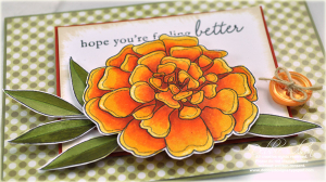 Marigold Get Well detail