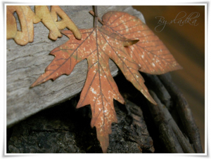 venec_iz_jesenskega_listja_7