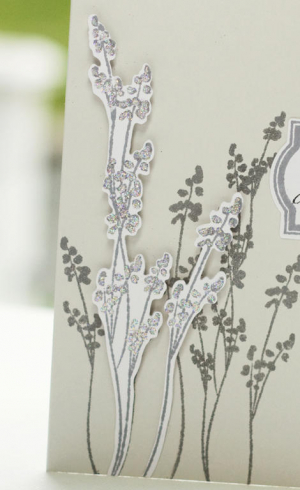 Much Appreciated 2 detail