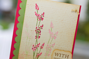 Pink Sprig Appreciation detail