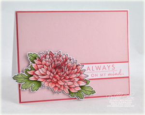 Debbie Olson - Year of Flowers: Mums