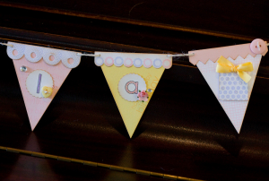 Lisa Johnson- Banner Builder