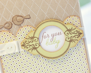 baby boy bird detail