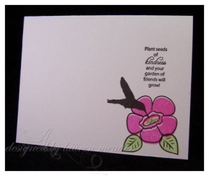 seeds of kindness