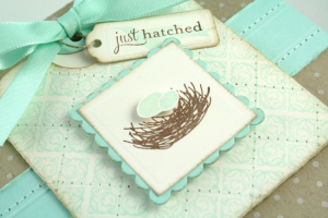 nest closeup