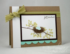 Amy Rysavy - Just Hatched Card