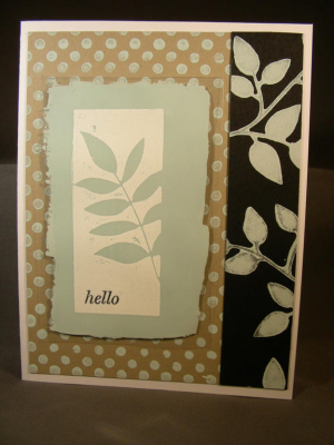 acetate card 3