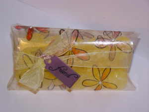 blog hop June 08 acetate 001
