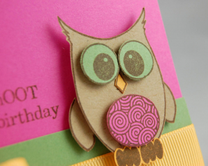 Layered Owl close up