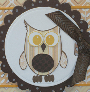 Close-Up-Owl