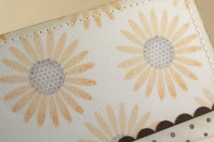 floral closeup