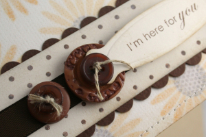 button closeup