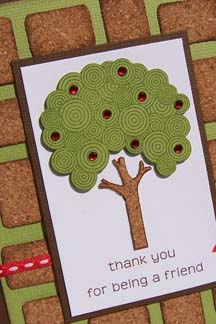 Cork Apple Tree Close-Up
