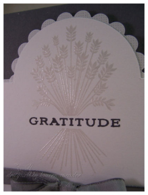 close up  gratitude