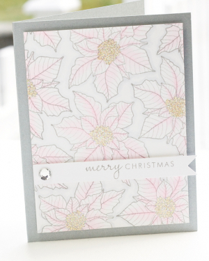 Pink Poinsettia detail