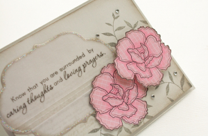 Katie's Carnations close