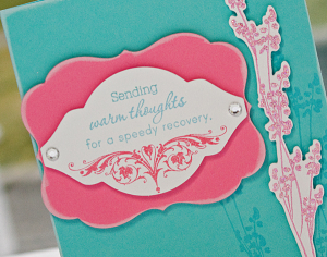 Lisa Johnson- Healing Touch Sentiments