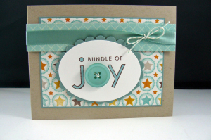 bundle of joy sssc101