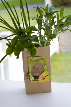 My Garden, Your Heart