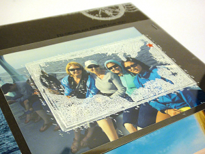 Whale Watching Scrapbook Page - detail