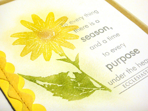 There is a Season Card - detail