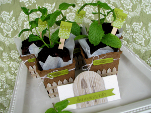 Jessica Witty - Garden Variety