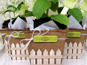 Cakes... front & center