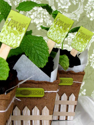 Garden Variety Sneak