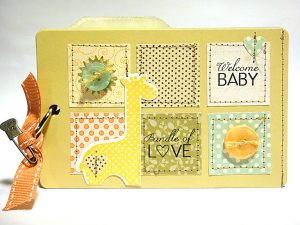 Baby Months Mini Scrapbook