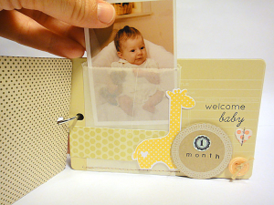 Baby Months Mini Scrapbook - page