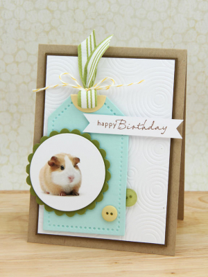 Guinea Pig happy birthday