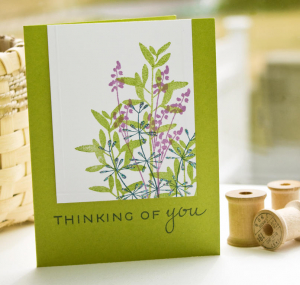 Lisa Johnson - Think Big Favorites #7
