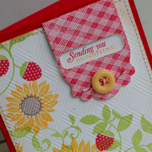 Sending-You-Sunshine-dtl