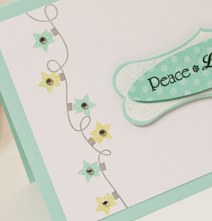 Lisa Johnson - Holiday Lights