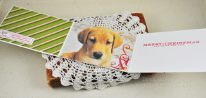 Dawn McVey - Holiday Photo Finishers